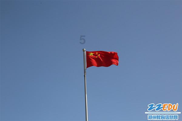 森系丛林